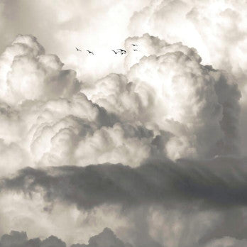 Clouds before the storm, wallpaper murals