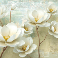 Wallpaper murals with elegant and pure white flowers