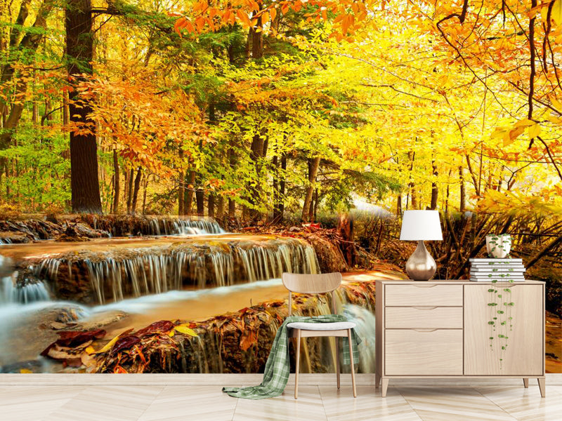 Autumn Leaf Creek Scenery, Wallpaper Murals