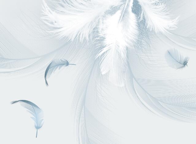 Wallpaper with elegant and gentle feathers