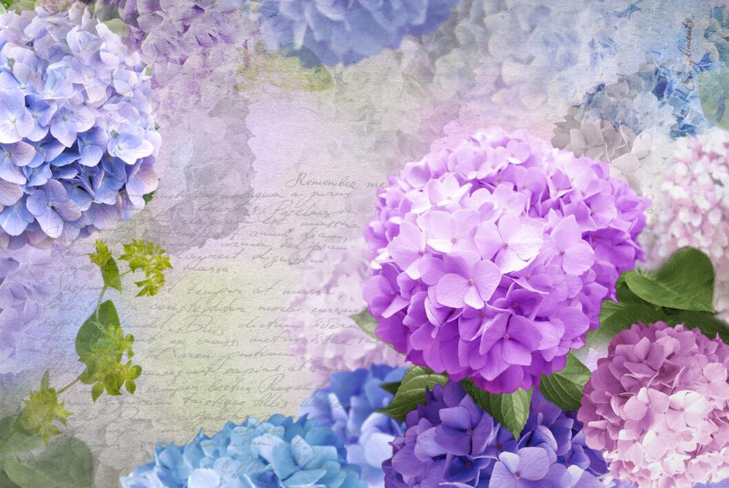 Wallpaper with light purple flowers full and soft colors