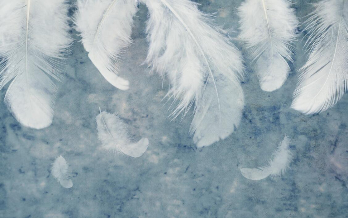 Elegant wallpaper with scattered white feathers