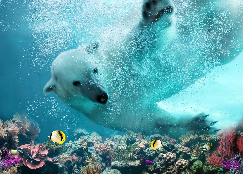 Swimming polar bear wallpaper mural