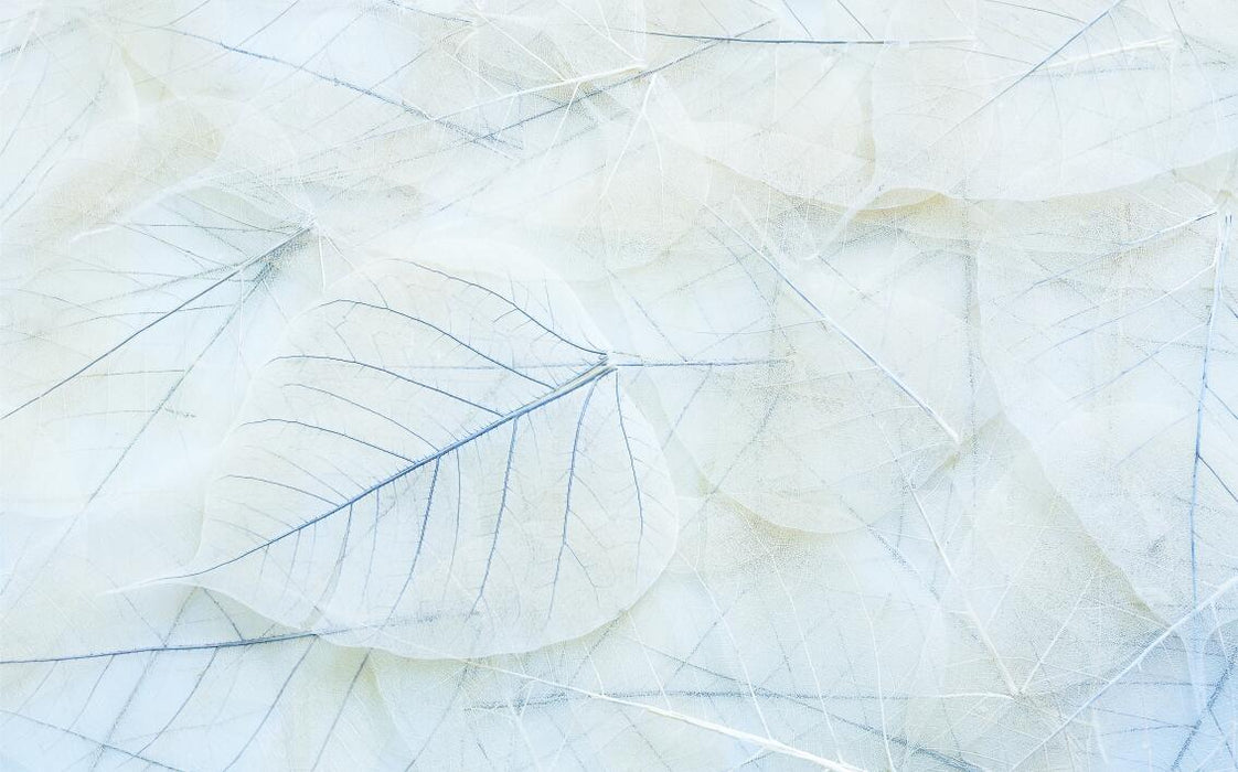 Light blue leaf wallpaper mural with clear leaf veins