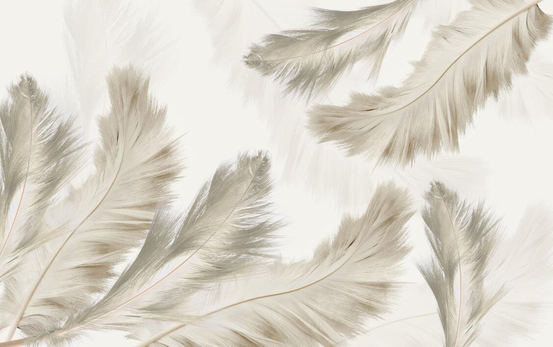 A faint feather wallpaper mural