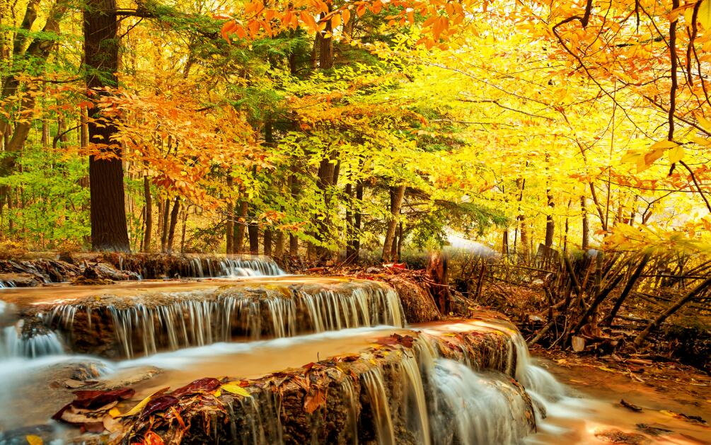 Autumn Leaf Creek Scenery, Wallpaper Murals