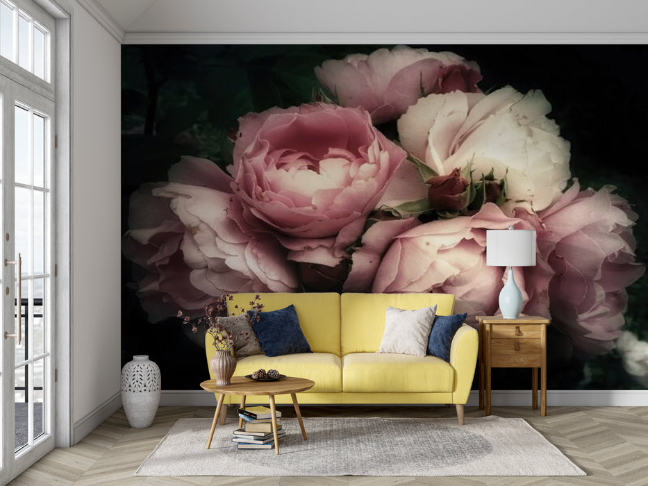 Blooming Rose Blossoms Wallpaper Mural